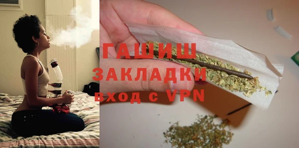 молекула духа Новозыбков