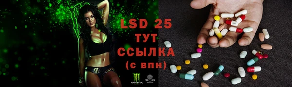 ПСИЛОЦИБИНОВЫЕ ГРИБЫ Новокубанск
