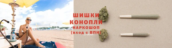 ПСИЛОЦИБИНОВЫЕ ГРИБЫ Новокубанск