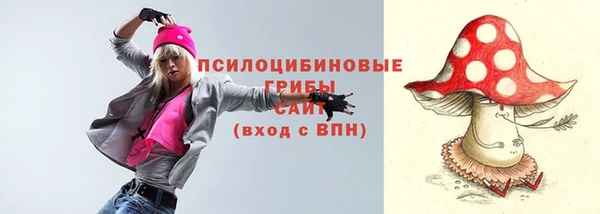 молекула духа Новозыбков