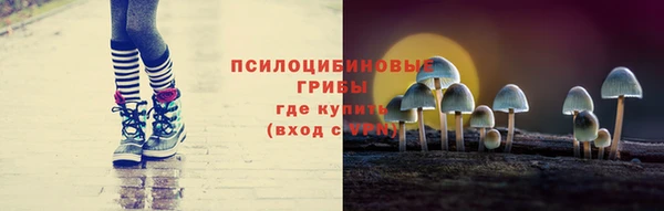 mix Новодвинск