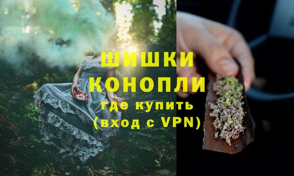 молекула духа Новозыбков