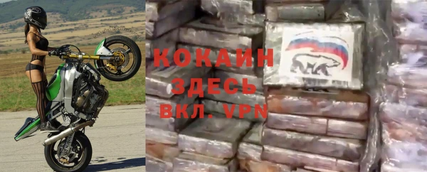 молекула духа Новозыбков