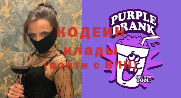 молекула духа Новозыбков