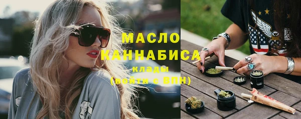 молекула духа Новозыбков
